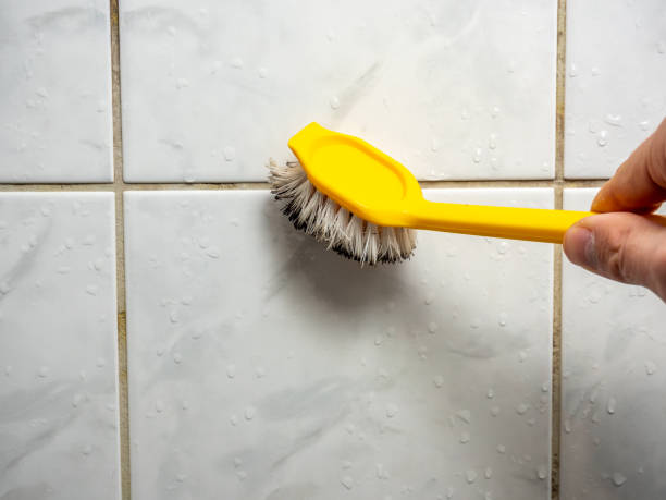 Home Mold Removal in Orchard City, CO